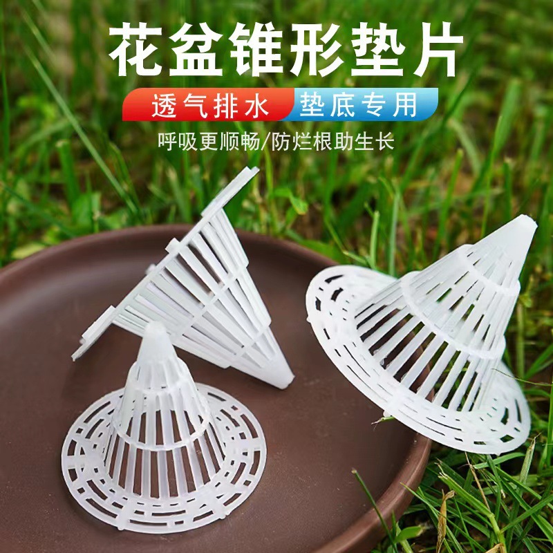 讀海子 讀書不僅是精進(jìn)，也是自我透氣